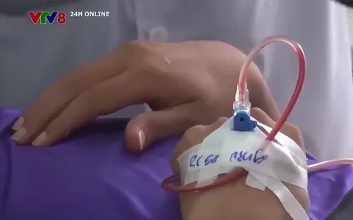 Đắk Lắk ghi nhận gần 300 trường hợp mắc sốt xuất huyết