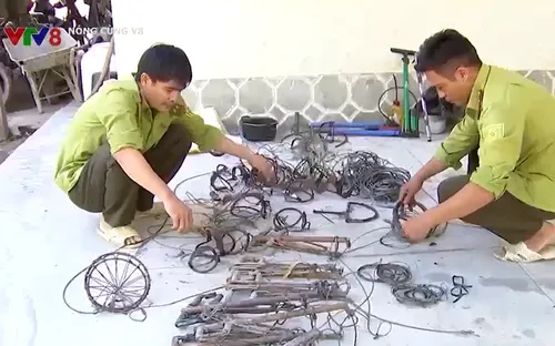 Gỡ bẫy thú rừng