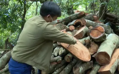 Phú Yên: Cách chức một Phó Bí thư Ðảng ủy xã vì giả chữ ký