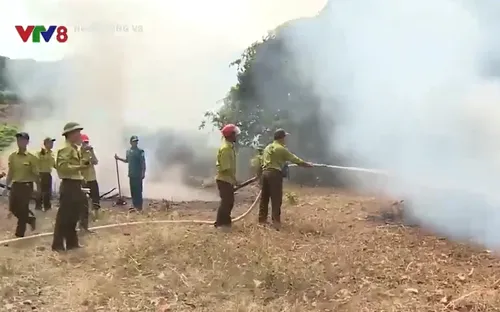 Rút kinh nghiệm từ diễn tập phòng chống cháy rừng