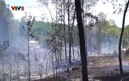 Thừa Thiên Huế: Nhiều cánh rừng có nguy cơ cháy ở cấp cực kì nguy hiểm