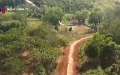 Đắk Nông: Hàng chục hộ dân không còn đường đi sau khi bị thu hồi đất