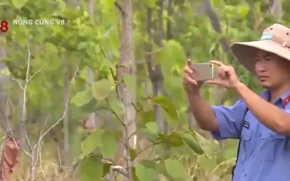 Đắk Nông: Thiếu sự phối hợp trong xử lý vi phạm lâm luật