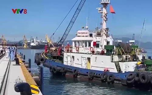 Xem xét điều chỉnh quy hoạch Cảng tổng hợp container Hòa Phát Dung Quất