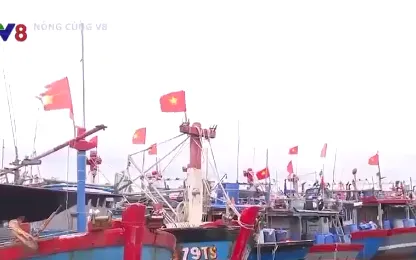 Đẩy mạnh kiểm soát tàu cá thúc đẩy tiến hành gỡ thẻ vàng