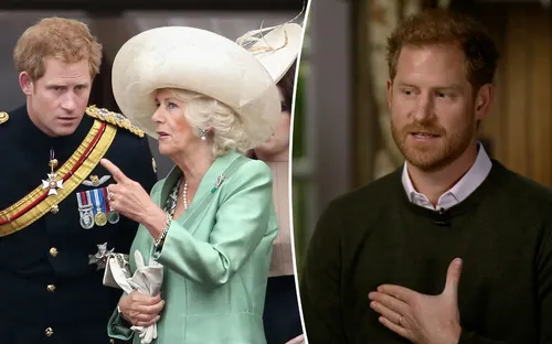 Vương hậu Camilla giận dữ vì Hoàng tử Harry "kể xấu" Hoàng gia Anh