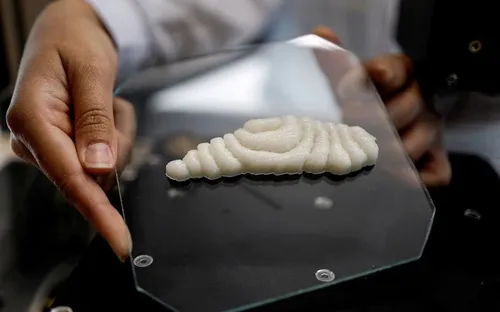 Khoanh cá tạo ra từ công nghệ in 3D