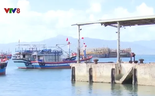 Hơn 4,5 tỷ đồng cải tạo, sửa chữa cảng cá Đề Gi