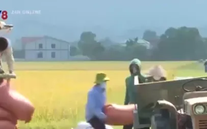 Hà Tĩnh nghiêm cấm hành vi bảo kê máy gặt lúa