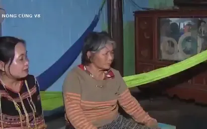 Hiệu quả mô hình "Địa chỉ tin cậy tại cộng đồng" ở Bình Định