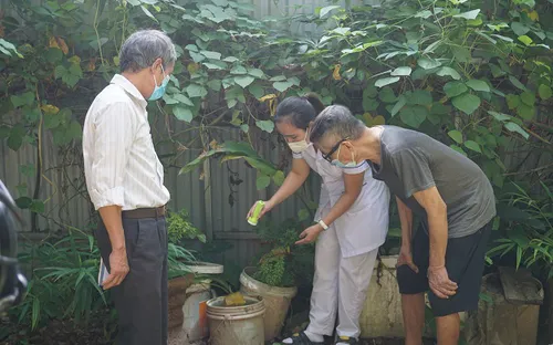 Hà Nội tăng cường giám sát ca bệnh, điều tra, xử lý triệt để khu vực có ổ dịch sốt xuất huyết