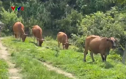 Thoát nghèo từ chương trình mục tiêu quốc gia