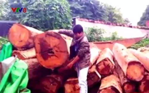 Gia Lai bắt đối tượng truy nã sau 4 năm lẩn trốn