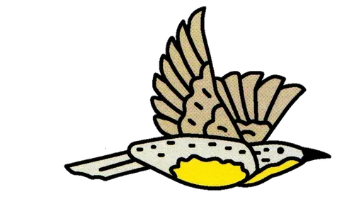 Tại sao tiếng chim hót lại tốt cho sức khỏe tinh thần của chúng ta?