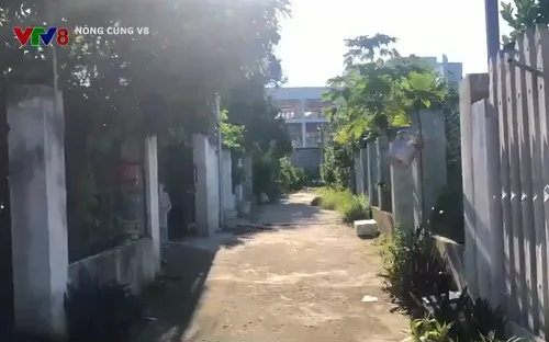 Phú Yên: Khởi tố đối tượng sử dụng đất thuê phân lô bán