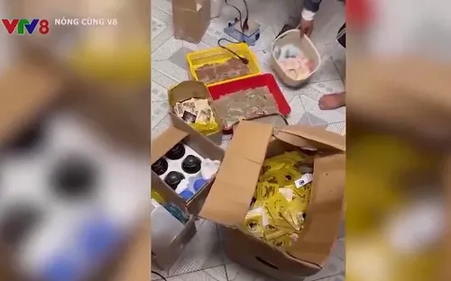 Triệt xóa tụ điểm sản xuất, mua bán "Cỏ Mỹ" ở Nha Trang