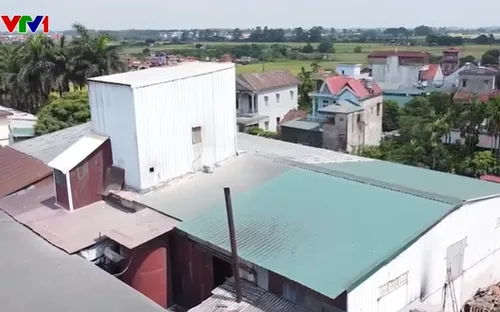 Xưởng cám xả thải vượt quy chuẩn hơn 12 lần