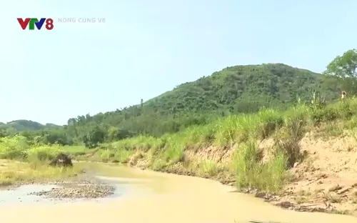 Sông Cô thay đổi dòng chảy ảnh hưởng Quốc lộ 19C