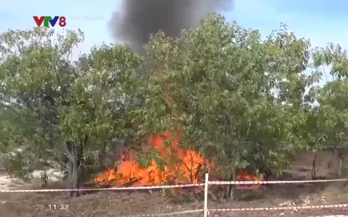 Quảng Nam: Đốt lửa trong rừng phòng hộ để diễn tập chữa cháy