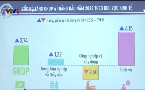 6 tháng đầu năm tăng trưởng kinh tế của Đà Nẵng suy giảm mạnh