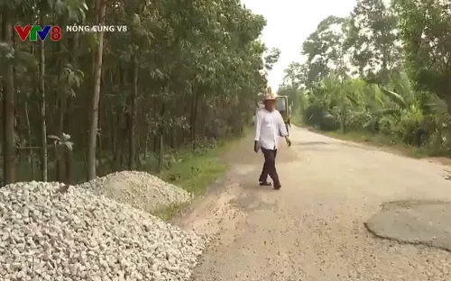 Bộ Giao thông Vận tải đẩy nhanh tiến độ nâng cấp Quốc lộ 14E