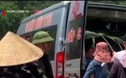 Đi rừng lấy mật, người đàn ông bị ong đốt tử vong