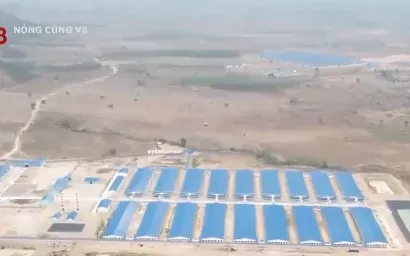 Gia Lai xử phạt các doanh nghiệp chăn nuôi gây ô nhiễm môi trường