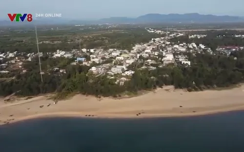 Bỗng dưng thành rừng phòng hộ