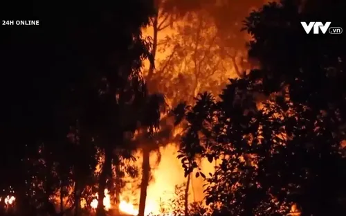 Nghệ An: Hàng trăm người chữa cháy rừng trong đêm