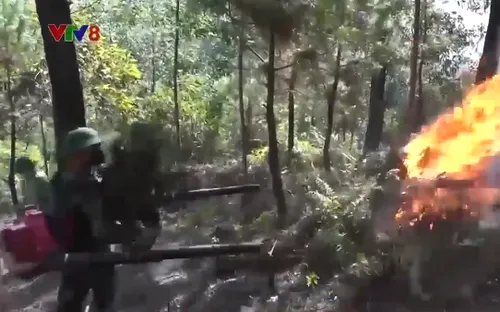 Hà Tĩnh huy động hàng trăm người dân tham gia chữa cháy rừng