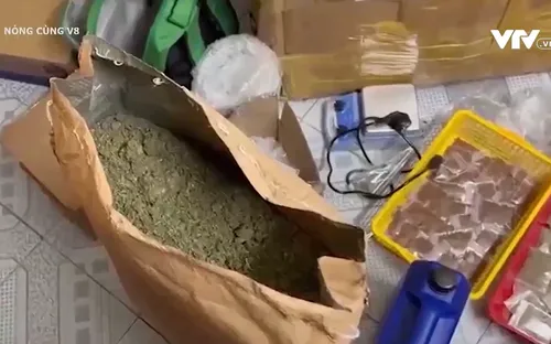 Đấu tranh với tội phạm ma túy ở địa bàn du lịch