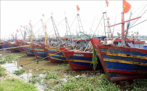 Ứng phó bão số 1: Kêu gọi tàu, thuyền ở khu vực nguy hiểm về nơi tránh, trú an toàn