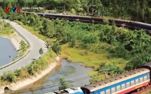 Sẽ khởi công 2 tuyến đường sắt kết nối với cảng biển trước năm 2030