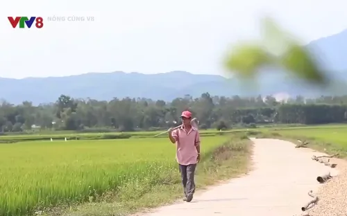 Huy động sức dân xây dựng giao thông nông thôn