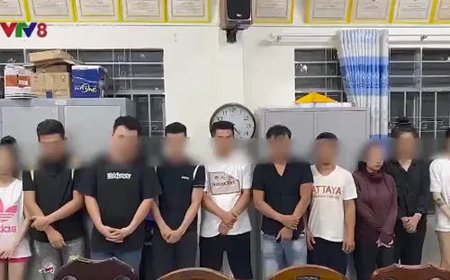 Thuê căn hộ để bay lắc, 11 thanh niên bị xử lý