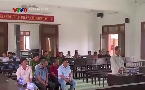 Lĩnh án tù vì tổ chức đánh bạc bằng hình thức đá gà