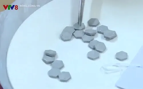 Khánh Hòa: Bắt đối tượng tàng trữ ma túy