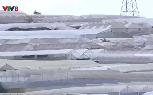 Xây dựng nhà kính quy chuẩn góp phần chống ngập úng Đà Lạt