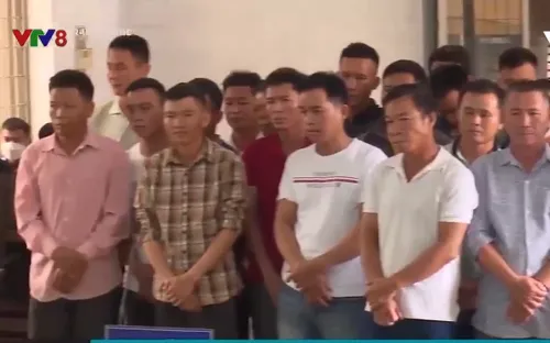 Xét xử 28 bị cáo trong vụ phá rừng lớn nhất Đắk Lắk