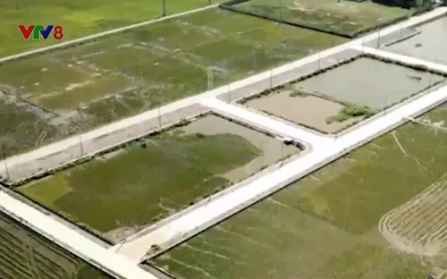 Huyện Quỳnh Lưu đề nghị tỉnh Nghệ An thanh tra toàn diện vụ kế toán xã đấu giá trúng 23 lô đất