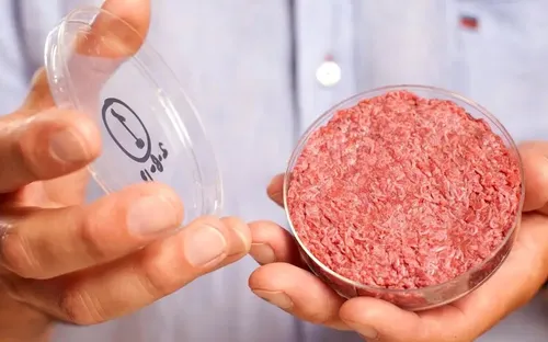 "Thịt nhân tạo" thực chất là gì?