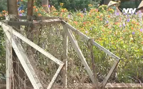 Hà Nội: Đẩy nhanh tiến độ các dự án xây dựng công viên