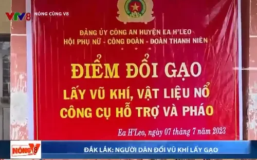 Chương trình đổi vũ khí lấy gạo