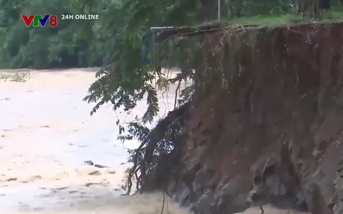 Đắk Nông tăng cường biện pháp ứng phó thiên tai