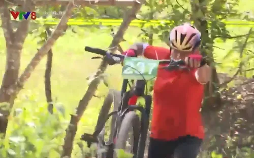 Giải Xe đạp địa hình phong trào toàn quốc nhân Ngày Voi thế giới