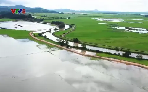 Hệ lụy từ một dự án chậm tiến độ