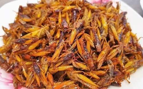 Người phụ nữ tử vong sau khi ăn 1 con châu chấu