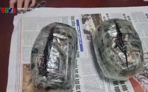 Nghệ An: Bắt 2 "nữ quái" cầm đầu đường dây vận chuyển ma túy