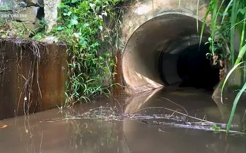 Đắk Lắk: Cơ sở xử lý ô nhiễm lại gây ô nhiễm môi trường