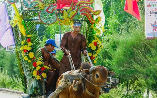 Khánh Hòa: Sôi động và vui nhộn với cuộc đua xe bò